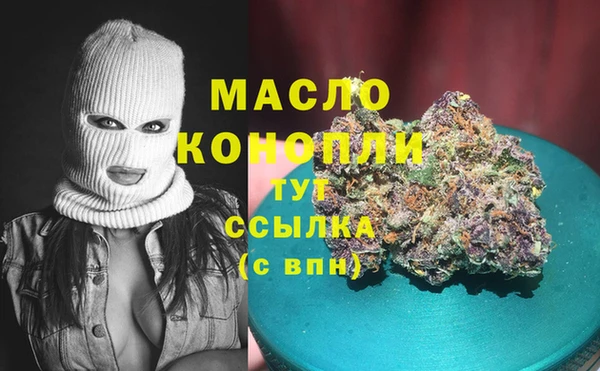 шишки Медногорск