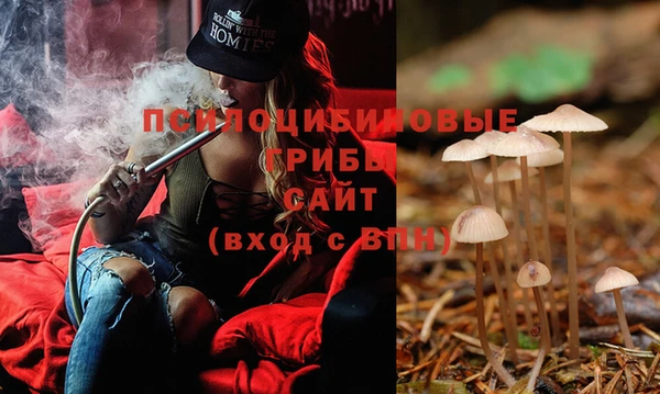 винт Михайлов